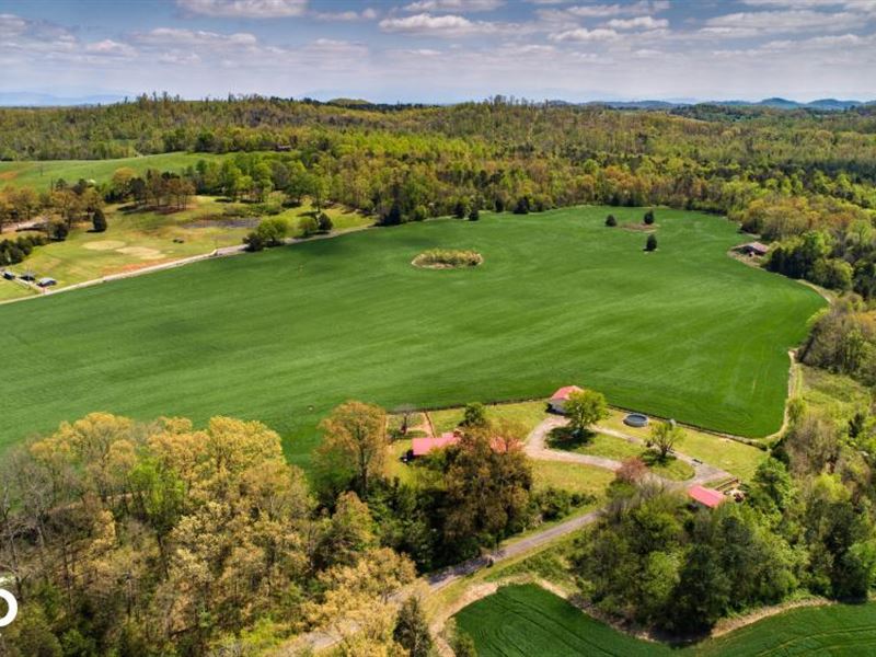 East Tennessee Farm Auction Farm Auction in Philadelphia, Loudon