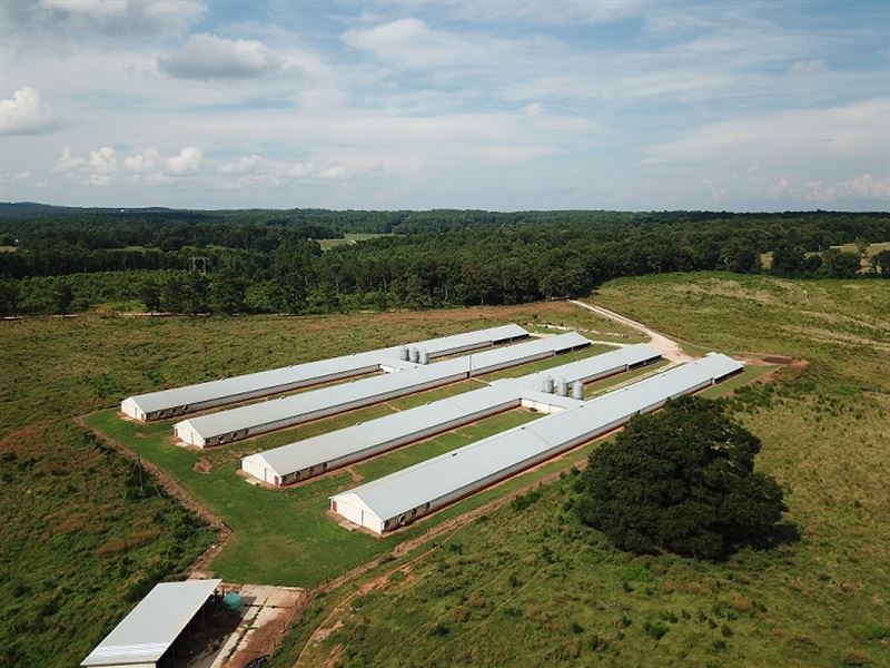 Thomas Poultry, Four Broiler Houses : Ranburne : Cleburne County : Alabama