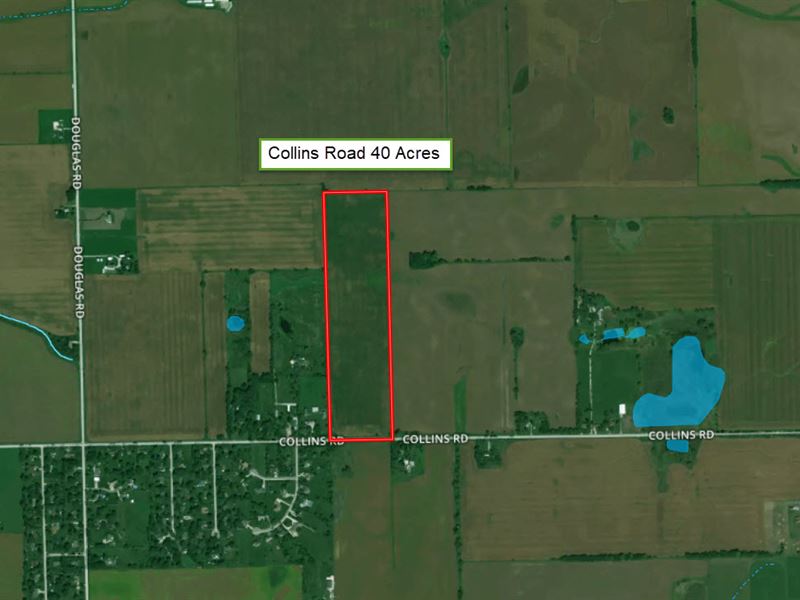 40 Acres Collins Rd : Oswego : Kendall County : Illinois