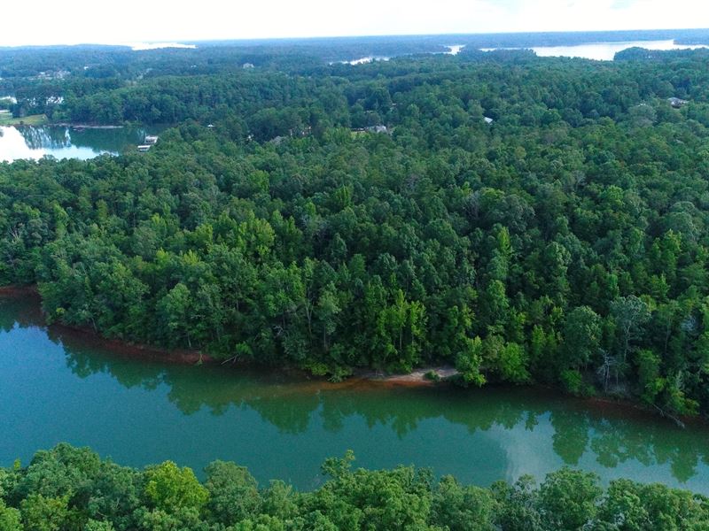 Lake Hartwell Frontage : Farm for Sale in Townville, Anderson County ...