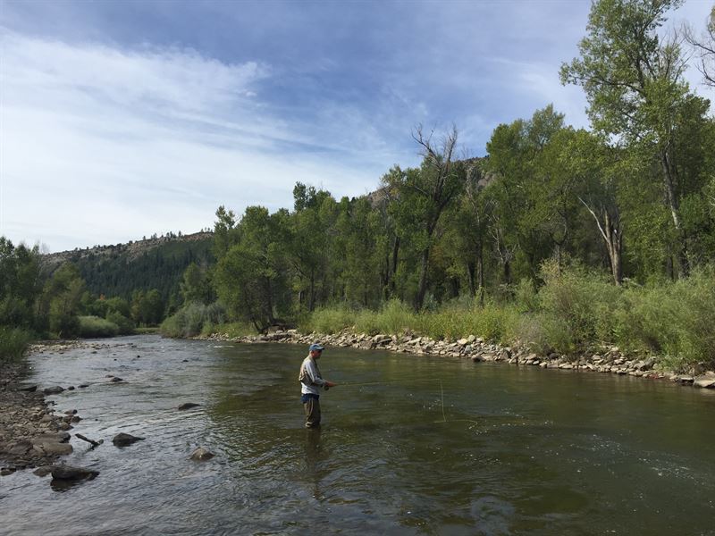 Piedra River Ranch, Farm for Sale in Colorado, #152002 : FARMFLIP