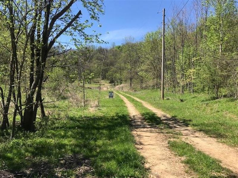 6.75 Acres Trousdale County, Tennes : Hartsville : Trousdale County : Tennessee