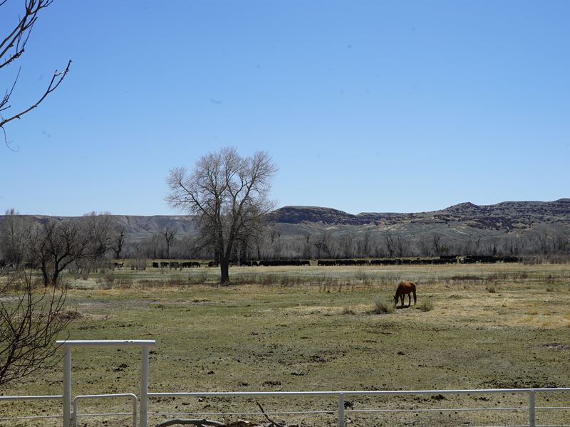 Wind River Land and Cattle : Ethete : Fremont County : Wyoming