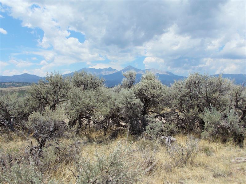 Lot 279, Forbes Wagon Creek Ranch, Farm for Sale in Colorado, 152724