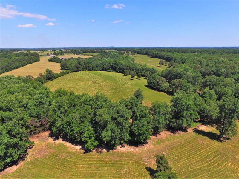 71 Acre Farm With Mountain View Farm for Sale in Chesnee, Spartanburg