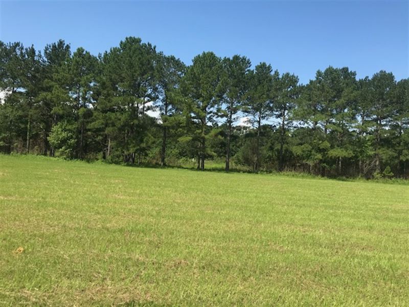 Just Piddling Farm, Farm for Sale in Georgia, #153510 : FARMFLIP