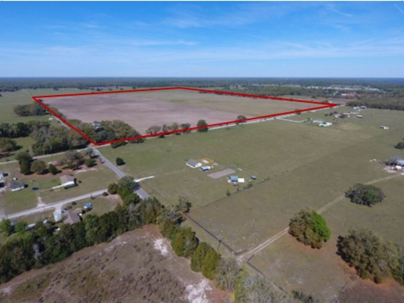 200 Acres - Lake Panasoffkee : Lake Panasoffkee : Sumter County : Florida