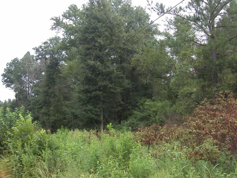 Keysville Farms, 5.52 Acre Lot : Keysville : Burke County : Georgia