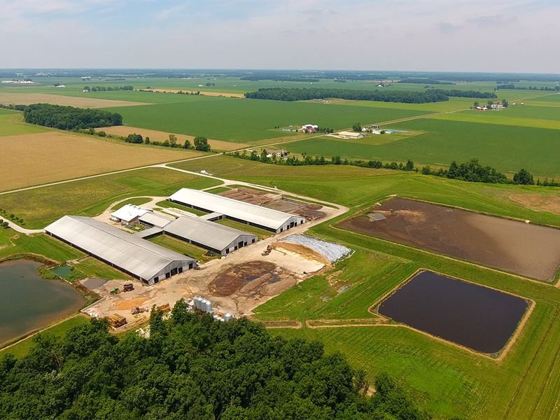 Ohio Dairy Dispersal Auction Farm Auction in Mark Center, Defiance