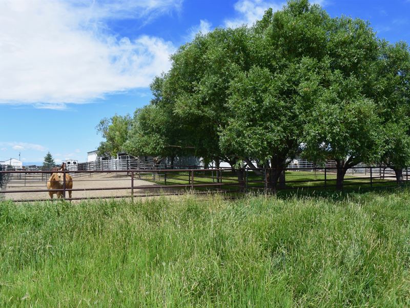 Fremont Sheep Ranch : Riverton : Fremont County : Wyoming