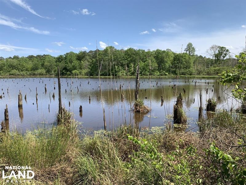 The Graydon Branch Pond Honoraville, Farm For Sale In Alabama, #155751 