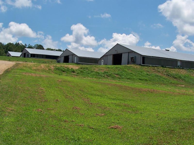 Farms For Sale In Etowah County at Norman Porath blog