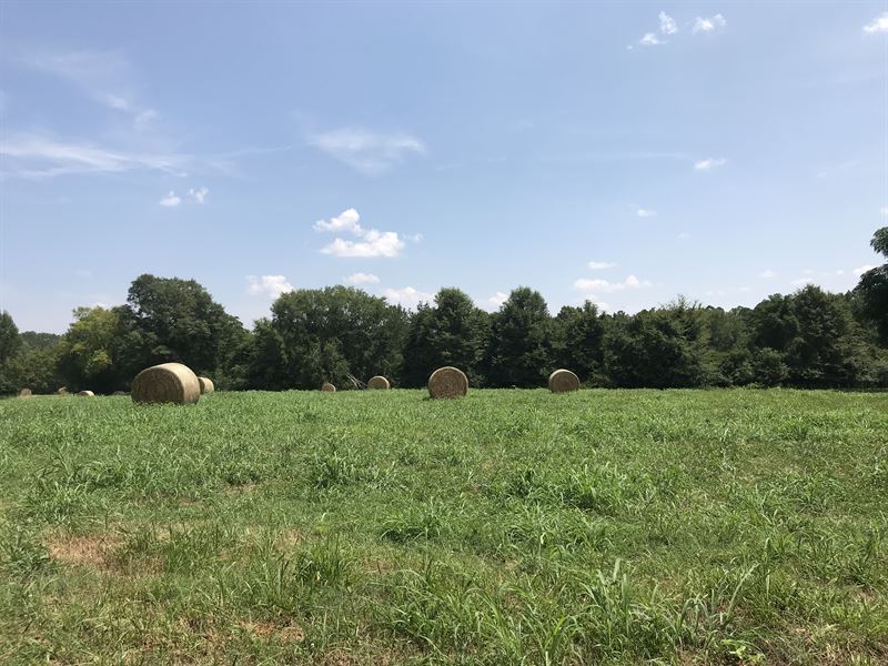 Established Pasture & Mature Trees : Farm for Sale in Madison, Morgan ...