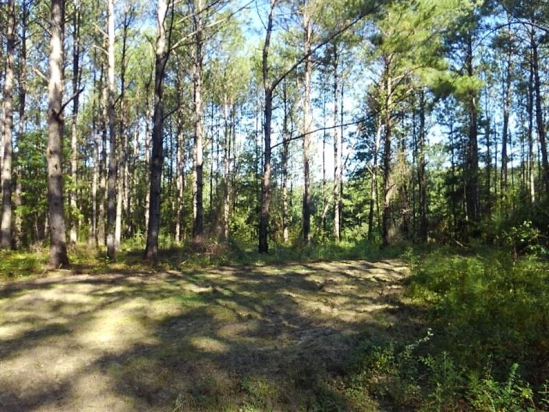 Roland Road, Farm for Sale in Florida, #156930 : FARMFLIP