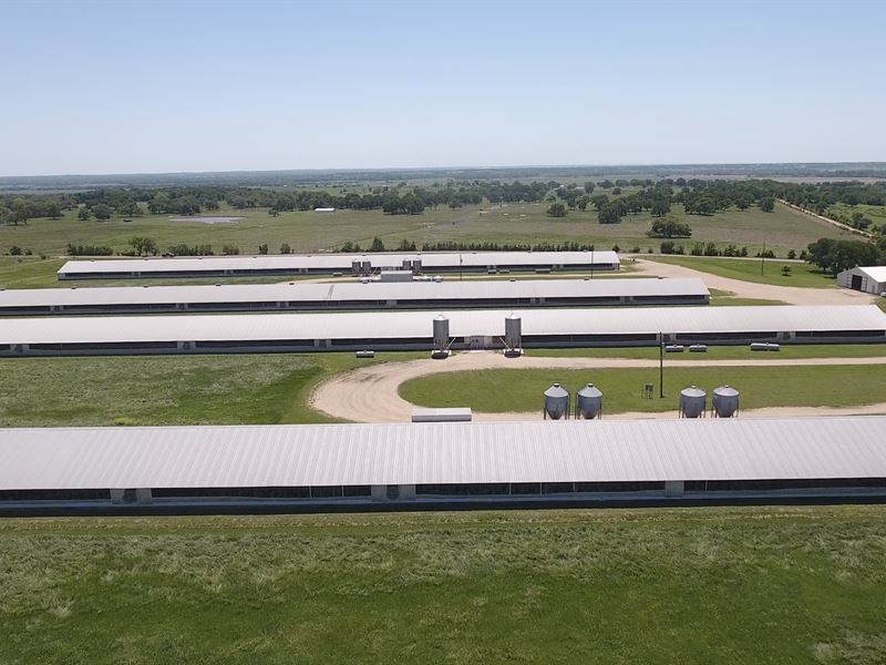 Poultry Farm With 60 Acres, Farm For Sale In Texas, #157067 : Farmflip