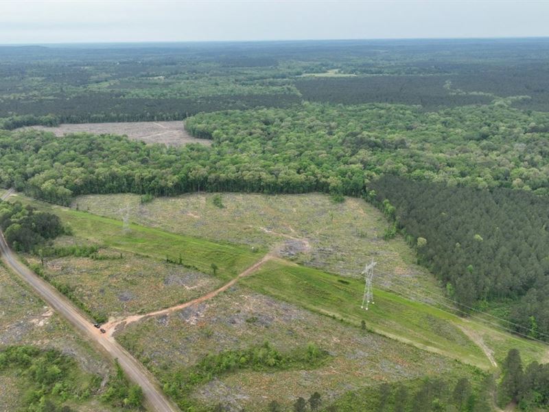 Dugdemona River, Lincoln Parish, 16 : Simsboro : Lincoln Parish : Louisiana