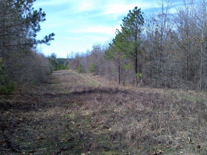 50 Acres in Holly Grove, AR, Farm for Sale by Owner in Arkansas ...