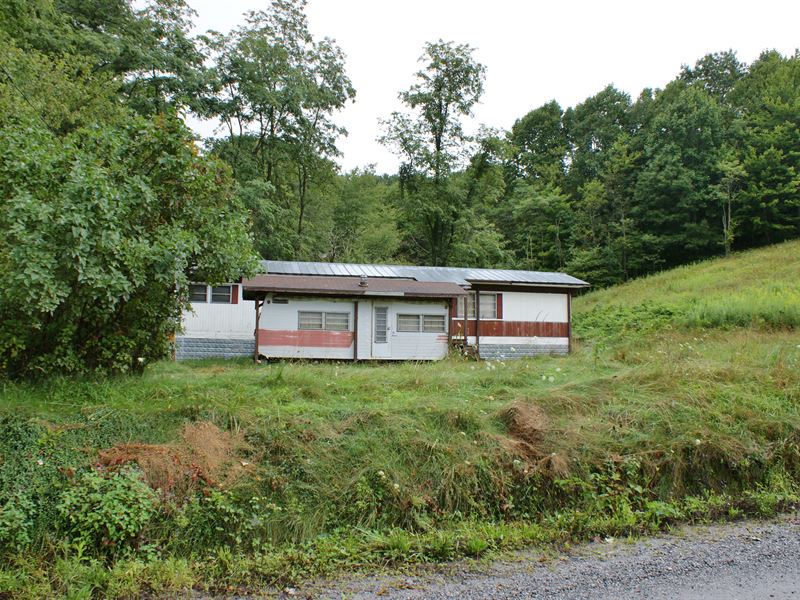 Mountain Mini Farm, Farm for Sale in Virginia, 158747 FARMFLIP