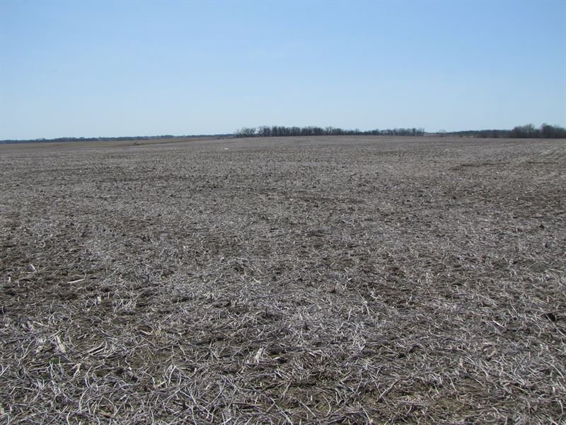 Mo Farmland, Flat/Black Row Crop, Farm for Sale in Missouri, #163901 ...