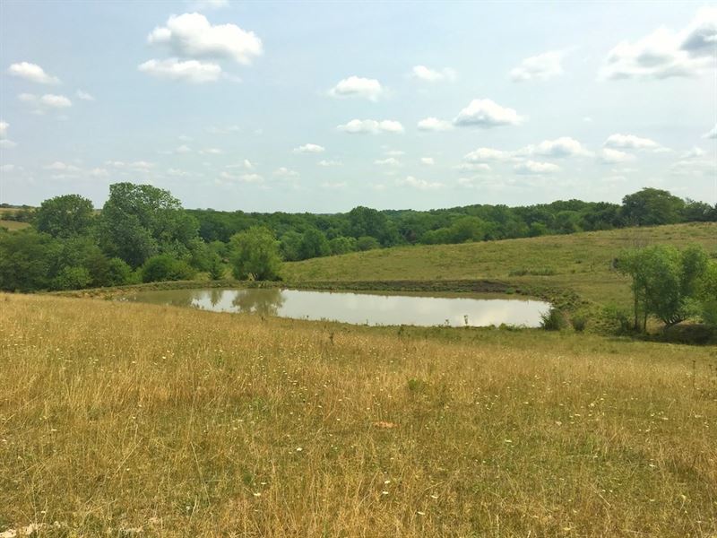 80 Acre Farm in Northern Missouri : Hatfield : Harrison County : Missouri