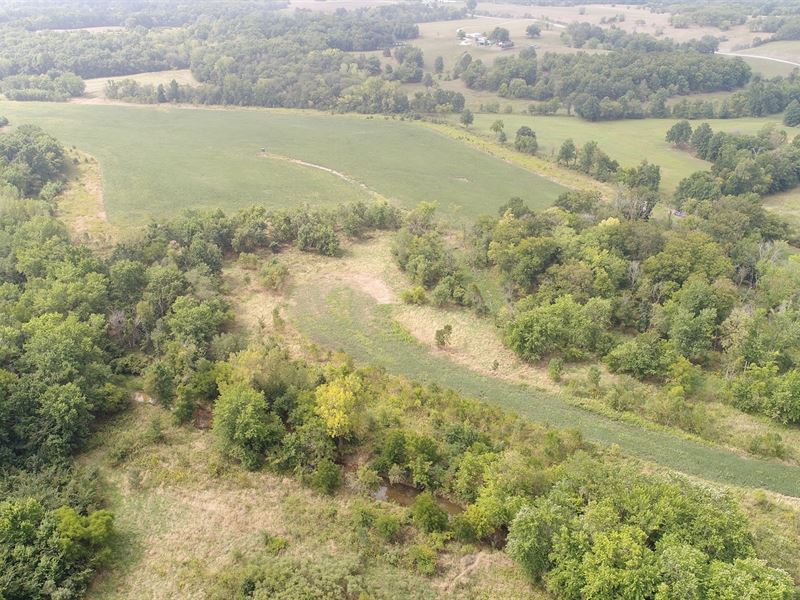 Northern Mo Farm, Income Row Crop : Memphis : Scotland County : Missouri