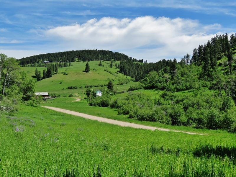 Lewistown Montana Mountain Ranch : Lewistown : Fergus County : Montana