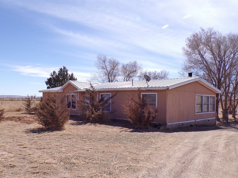 Country Home Moriarty NM Family, Farm for Sale in New Mexico, 165993 FARMFLIP