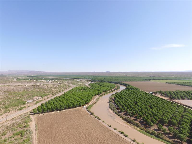 Pecan Farm New Mexico Farm Farm For Sale In Rincon Dona Ana County New Mexico 166018 Farmflip