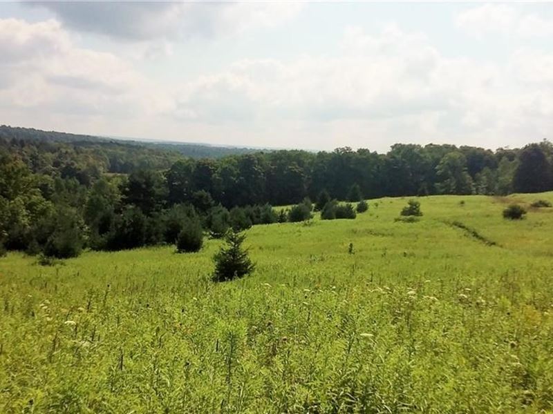 83 Acres Secluded Land Cortland, Farm for Sale in New York, #166200 ...