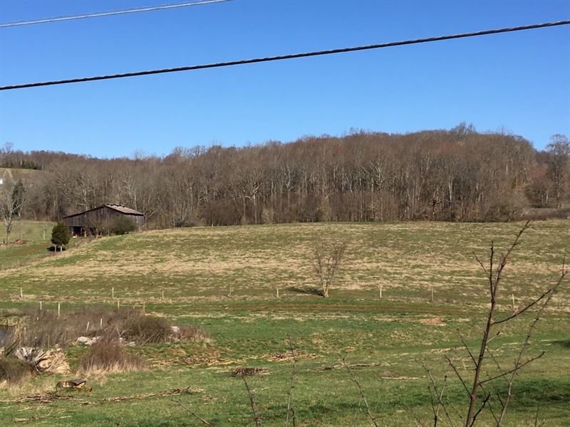 East Tennessee Mini Farm : Rogersville : Hawkins County : Tennessee