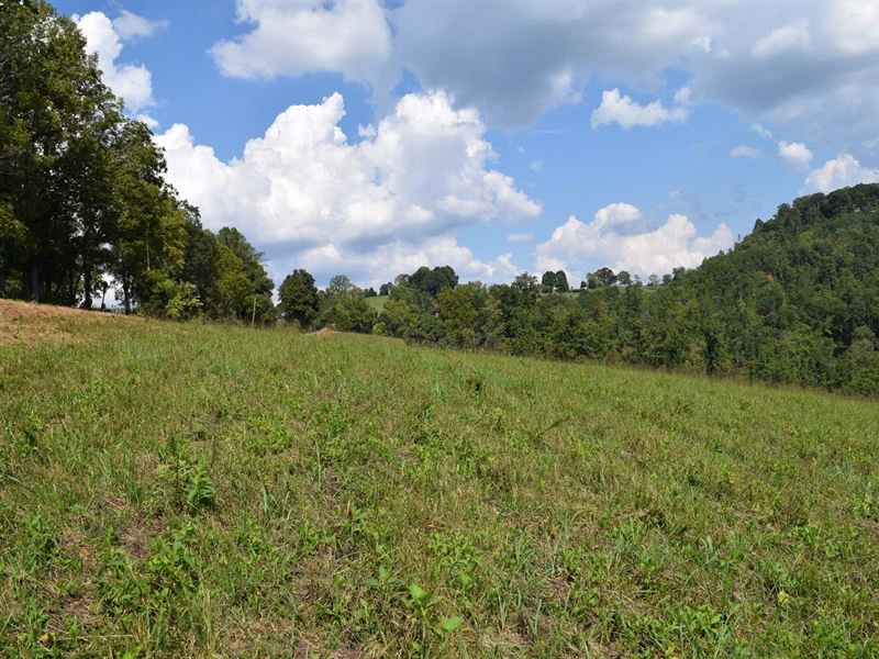 Vacant Land East Tennessee : Tazewell : Claiborne County : Tennessee