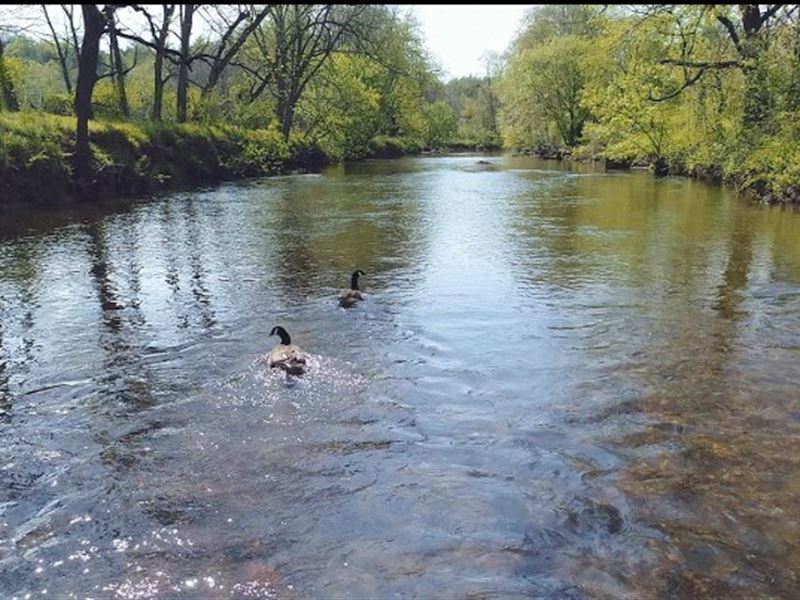 Riverfront Farm Land in Floyd VA : Floyd : Floyd County : Virginia