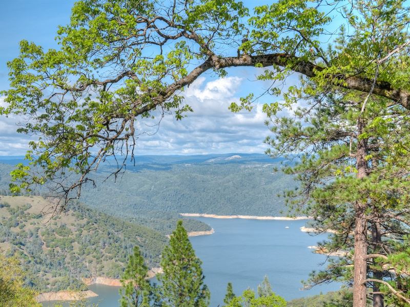 Lake Oroville Lake View Lot 20, Farm for Sale in California, #169299 ...