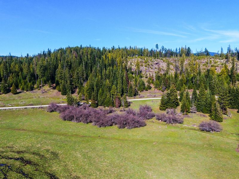 220 Acres Recreational Land, Meadow : Harvard : Latah County : Idaho