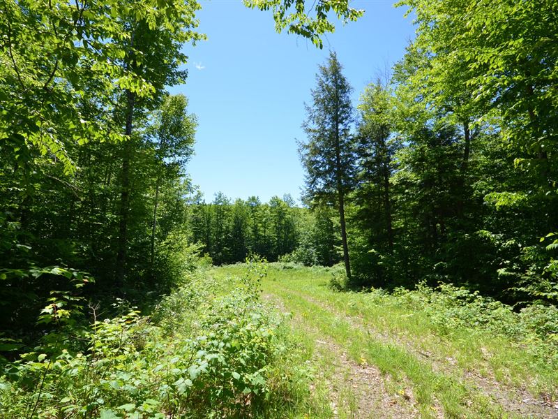 Maine Land for Sale in Avon, Farm for Sale in Maine, 170608 FARMFLIP