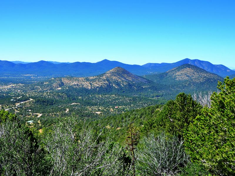 Mountain Homesites 1050 Acre Lots, Farm for Sale in New Mexico