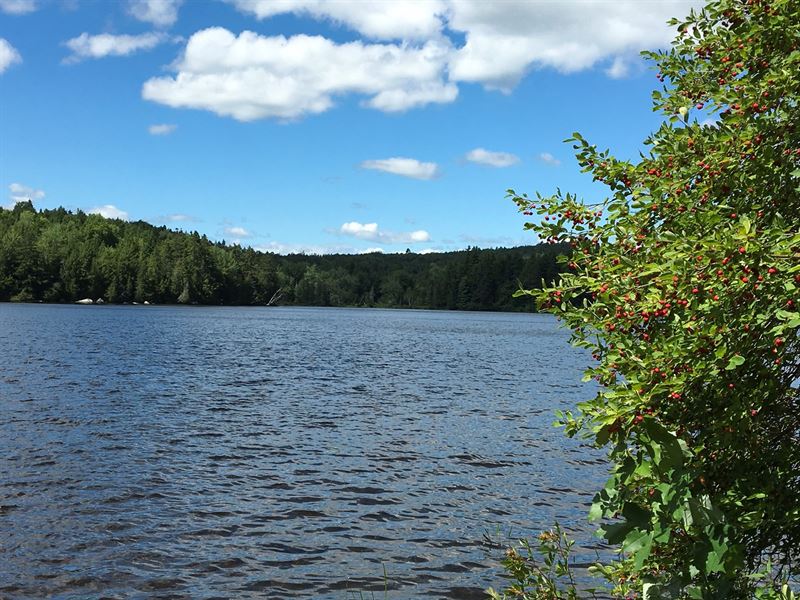 Post & Beam Lakefront Camp : Lakeville : Penobscot County : Maine