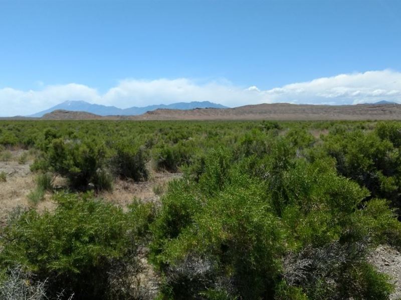 640 Acres in Park Valley, UT, Farm for Sale by Owner in Utah, #173469 ...