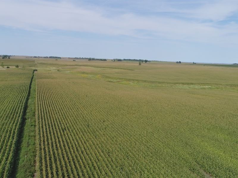 320 Crop Land Acres Deuel County, Farm for Sale in South Dakota