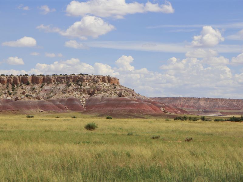 Secluded Northern Arizona Ranch : Saint Johns : Apache County : Arizona