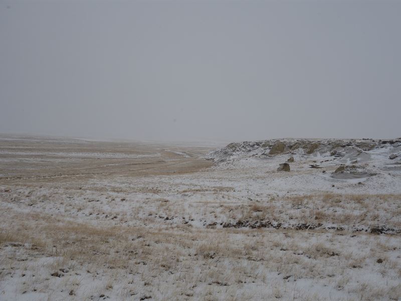 Eastern Montana Farm and Ranch : Cohagen : Garfield County : Montana