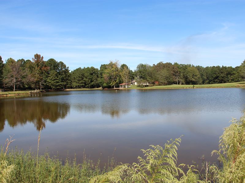 Farm with House and 4 Acre Pond, Farm for Sale in Alabama, 178582