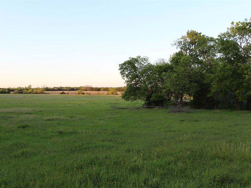 Ranch Recreational Land Lamar : Farm for Sale in Petty, Lamar County ...