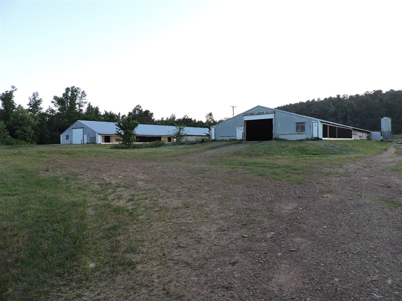 poultry farm for sale in nc