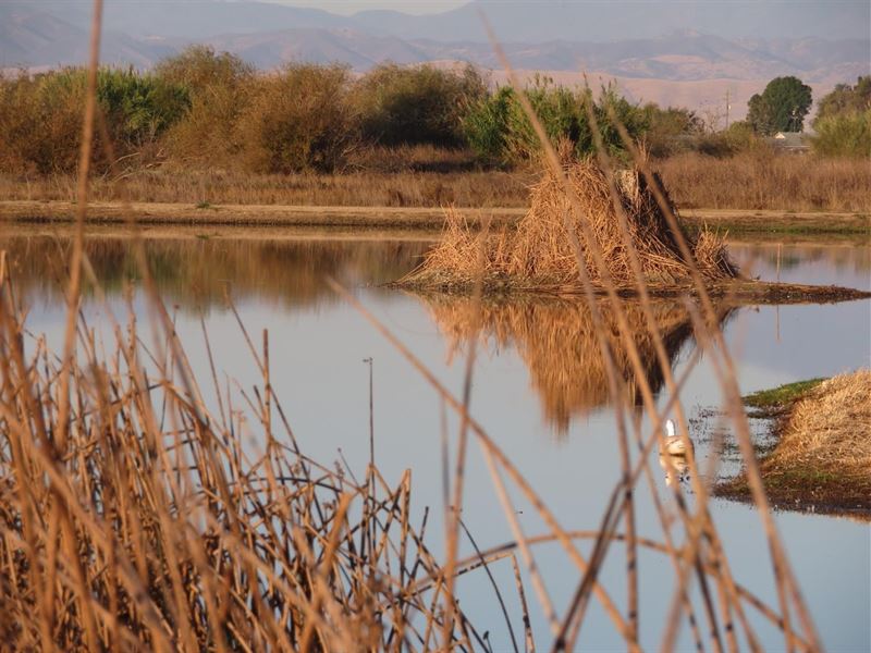 Colusa County Duck Club 18 Acres : Princeton : Colusa County : California