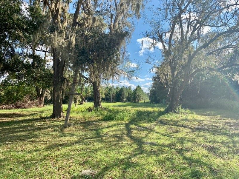 Land, Pasture, Home Site, 54+ Acres, Farm for Sale in Florida, #180295 ...