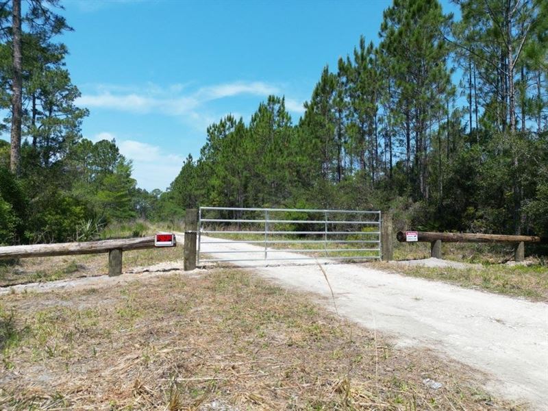 Cedar Key 14 : Cedar Key : Levy County : Florida