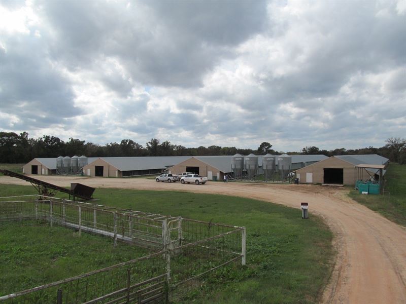 Poultry Farm Pickton Texas East : Pickton : Hopkins County : Texas