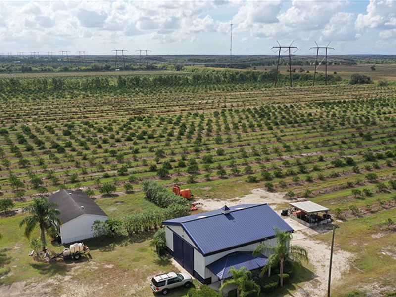  Orange  Avenue 70 Acre Farm  Farm  for Sale in Fort Pierce 