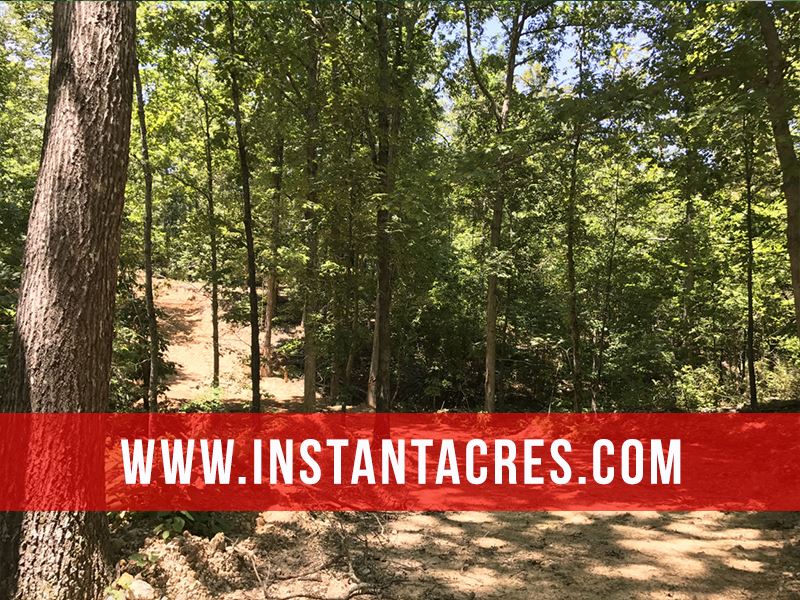 19 Acres with Huge Deer and Timber, Farm for Sale by Owner in Missouri